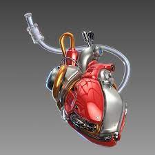 Red Heart Anatomical Heart Art Heart Tattoo Heart Art
