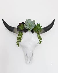 Oil 20x16 purchase information like many people, i am guilty of stereotyping texas. Succulent Crown Embellished White Faux Cow Skull 2 Sizes Cacti Etsy Cow Skull Decor Cow Skull Cow Skull Art