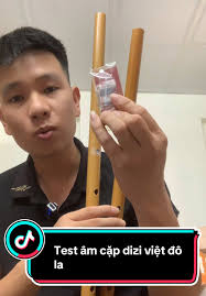 Test cặp dizi Việt trước khi gửi #saotruc #saotrucbinhtran