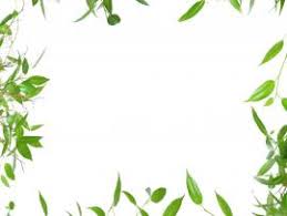Download 98,000+ royalty free leaf border vector images. Green Leaves Border Frame Backgrounds For Powerpoint Templates Ppt Backgrounds