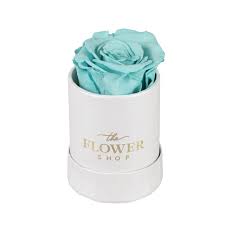Breakfast at tiffany's is a song by american alternative rock band deep blue something. Tiffany Blue The Flower Shop