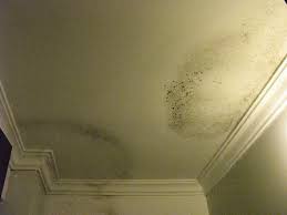 Nhật ký thi công: Sửa nhà vệ sinh bị ngấm nước tại Hà Nội ngày 1/5/2018 -  Gọi Thợ Nhanh 19009258