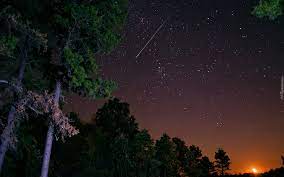 Deszcz meteorów z roju camelopardalidów 2021 na majowym niebie zachwyci! Noc Niebo Drzewa Spadajaca Gwiazda