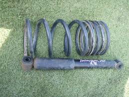 Image result for Stathmostelma gigantiflorum