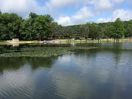 Up to 90 days of daily highs, lows, and precipitation chances. French Creek State Park Elverson 2021 All You Need To Know Before You Go Tours Tickets With Photos Tripadvisor