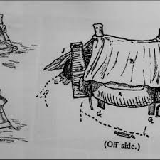 I'll steal more than just your heart. i know what i came for. Pdf The One Humped Camel In The Anglo Egyptian Military Campaigns In Sudan 1885 1926