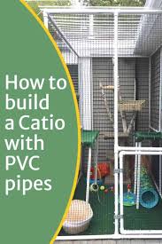 See more ideas about cat enclosure, outdoor cat enclosure, outdoor cats. How To Build A Catio With Pvc Pipes Our Re Purposed Home