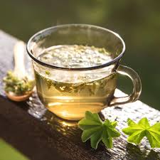 Er wird in jedem fall ungesüßt und auf handtemperatur abgekühlt getrunken. Frauenmanteltee Gegen Frauenbeschwerden Tipps Zur Anwendung Stern De