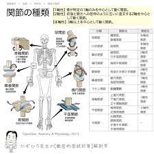 Aug 12, 2017 · 小菱形骨は手根中央関節や手根中手関節を構成します。 小菱形骨の特徴はほぼ可動性がないこつです。 この部分に骨折が起こると手術を行うことが多いです。 é–¢ç¯€ã®å½¢çŠ¶ã«ã‚ˆã‚‹åˆ†é¡ž å¾¹åº•çš„è§£å‰–å­¦