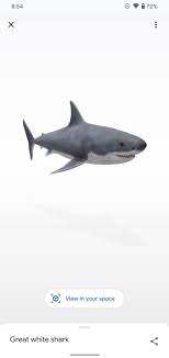 Google 3d Animals Ar Objects Full List Gallery Android Central