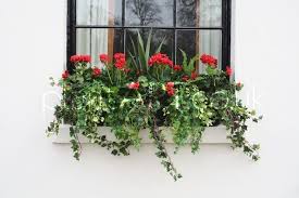 However, fake flowers have come a long way! Images Of Artificial Flowers In Window Boxes Outdoor Artificial Plants Goodenough Artificial Plant Arrangements Artificial Plants Outdoor Artificial Flowers