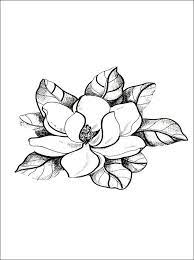 Magnolia Coloring Page Coloring Pages Flower Drawing Coloring Pages Magnolia Tattoo