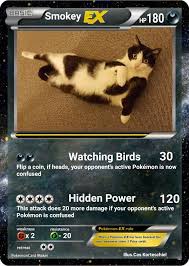 Many pokémon have designs based on animals. My Sisters Cat As Pokemon Card Pokemon Amino