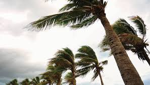 What You Need to Know About Wind Coverage - Alliant Private Client