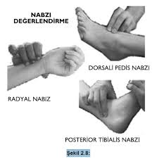 Peki, nabız nedir nasıl ölçülür? Nabiz Nedir