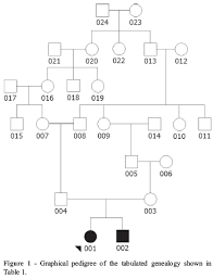 From there, use the branches to add your grandparents, aunts, and uncles. Scielo Brasil Genealogical Data In Population Medical Genetics Field Guidelines Genealogical Data In Population Medical Genetics Field Guidelines
