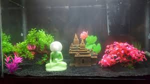 Super Happy With How My New Substrate And Theme Came Out In My Aquarium Black Sand Temple Cherry Blossom Cherry Blossom Black Sand Aquarium