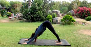 Maybe you would like to learn more about one of these? Video Asanas To Prep You For A Headstand Times Of India