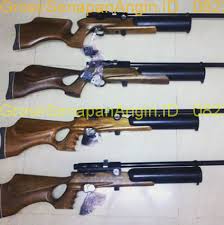 Low to high sort by price: Jual Senapan Angin Sharp Pasopati 25 60 Laras Baja Power Kuat Dan Berkualitas By Drugaz Gsa Medium
