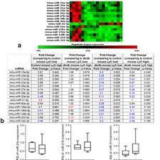 At finepov you can see many videos at category. Pdf A Comprehensive Mirnome Analysis Of Macrophages Isolated From Db Db Mice And Selected Mirnas Involved In Metabolic Syndrome Associated Cardiac Remodeling