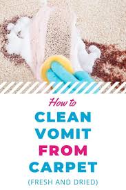 How To Clean Vomit From Carpet 7 Tips You Need To Know In 2020 Cleaning Hacks Mattress Cleaning How To Clean Carpet