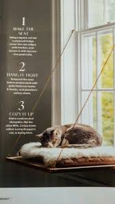 Martha Stewart Lebender Katzenwickler Nur Foto Katzen Foto Katzen Katzenwickler Lebender Martha Nur Stew Cat Window Cat Window Perch Cat Hammock