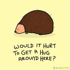 Horses, giraffes, zebra, lions, tigers & more canvas prints. 366 Grumpy Animals Of 2020 Artist Will Draw Funny Animal Each Day Throughout The Entire Year