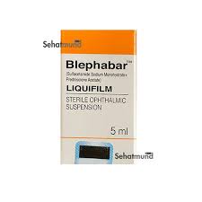 Image result for Blepharis sol