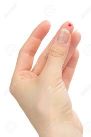 Image result for kutas.jpg