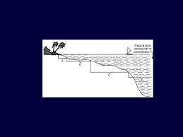 Gambarkan zona pesisir berdasarkan kedalamannya? Hidrosfer Materi 1 A Jenis Macam Laut Berdasarkan Sebab Terjadinya Ppt Download
