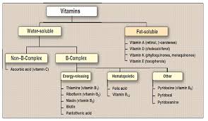 the ultimate guide to taking supplements while fasting so