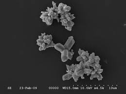 As if i didn't have enough on my mind (uncredited) lyrics by charles henderson music by harry james and lionel newman see more ». Selenium In Agriculture Water Air Soil Plants Food Animals And Nanoselenium Springerlink