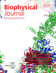 Issue: Biophysical Journal