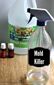 Mold Remover Spray Diy Mold Remover Diy Molding Homemade Cleaning Products