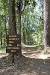 Angelina National Forest