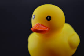 Tomar 3 cápsulas una o más capsulas diarias hasta encontrar la dosis que te ayuda a sentir alivio. Https Todobebe Com Alimentacion Https Todobebe Com Wp Content Uploads Sites 2 2021 06 Adobestock 335069953 Jpeg Healthy Cute Caucasian Baby Boy Have Eat Vegan Raw Supplementary Food At Home In His Highchair Vegan Infant Concept