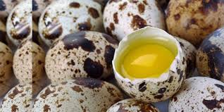 Dengan resep yang akan kami bagikan kali ini anda akan tentu bisa melakukannya dengan mudah dan sederhana. Pengertian Telur Lengkap Beserta Jenis Cara Memilih Manfaat Dan Penyimpanannya Watonsinau Work