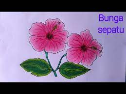 Setelah itu, warnailah bagian yang warnai setiap bagian dengan perlahan. Cara Menggambar Bunga Kembang Sepatu