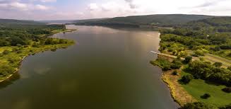 cowanesque lake