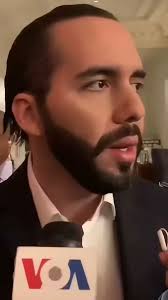 @eduardomenoni's video Tweet