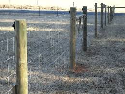 Tractor Supply Wire Fence Popular Barbed Wire Fence Tractor Supply Best Idea Garden Barbed Wire Fence Supplies Tracto Modern Fence Patio Fence Front Yard Fence