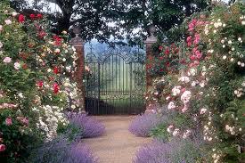 Donna jane's home & garden services. Great Literary Gardens From Hamlet To Lady Chatterley S Lover Financial Times