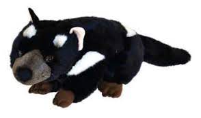 Pin On Tasmanian Devil