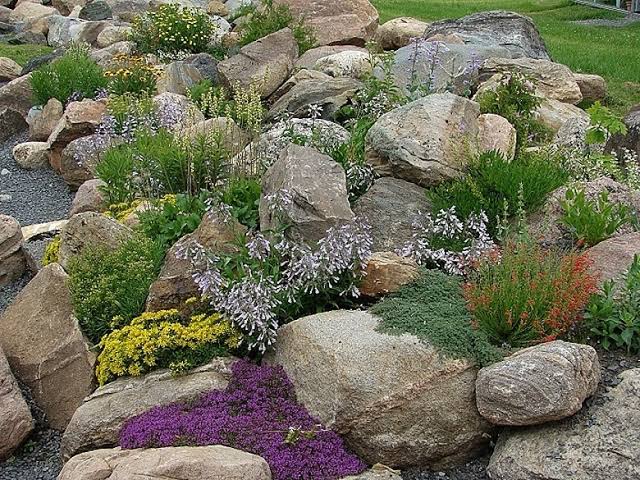  Rock Garden