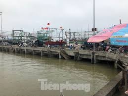 Quy định tham gia thanh hóa 24h; Nong 24h Qua Ca Khá»§ng Bá»‹ Xáº» Thá»‹t á»Ÿ Thanh Hoa Khong Ai Mua Tin Tá»©c