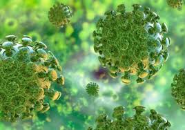 Resultado de imagen para coronavirus