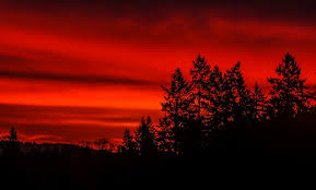 Image result for red sky in the morning photos