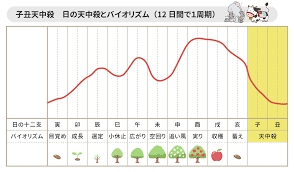 天中殺早見表【2025年】天中殺(年・月・日・時間)を無料で調べる｜優しい四柱推命