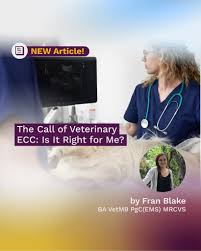 Improve Veterinary Education UK