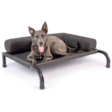 Maybe you would like to learn more about one of these? Best Outdoor Dog Beds In 2021